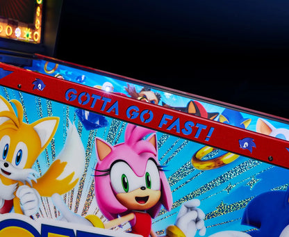 Sonic The Hedgehog Collectors Edition