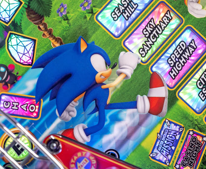 Sonic The Hedgehog Special Edition
