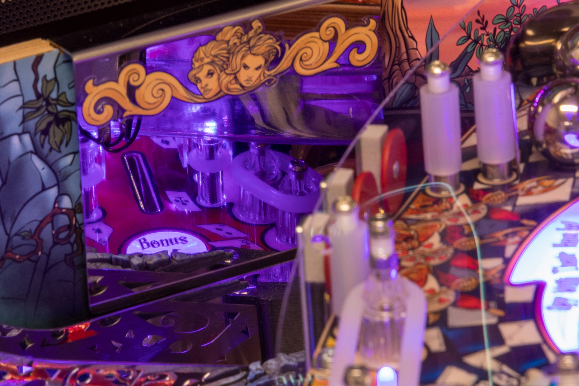 Alice's Adventures in Wonderland pinball — upper playfield detail