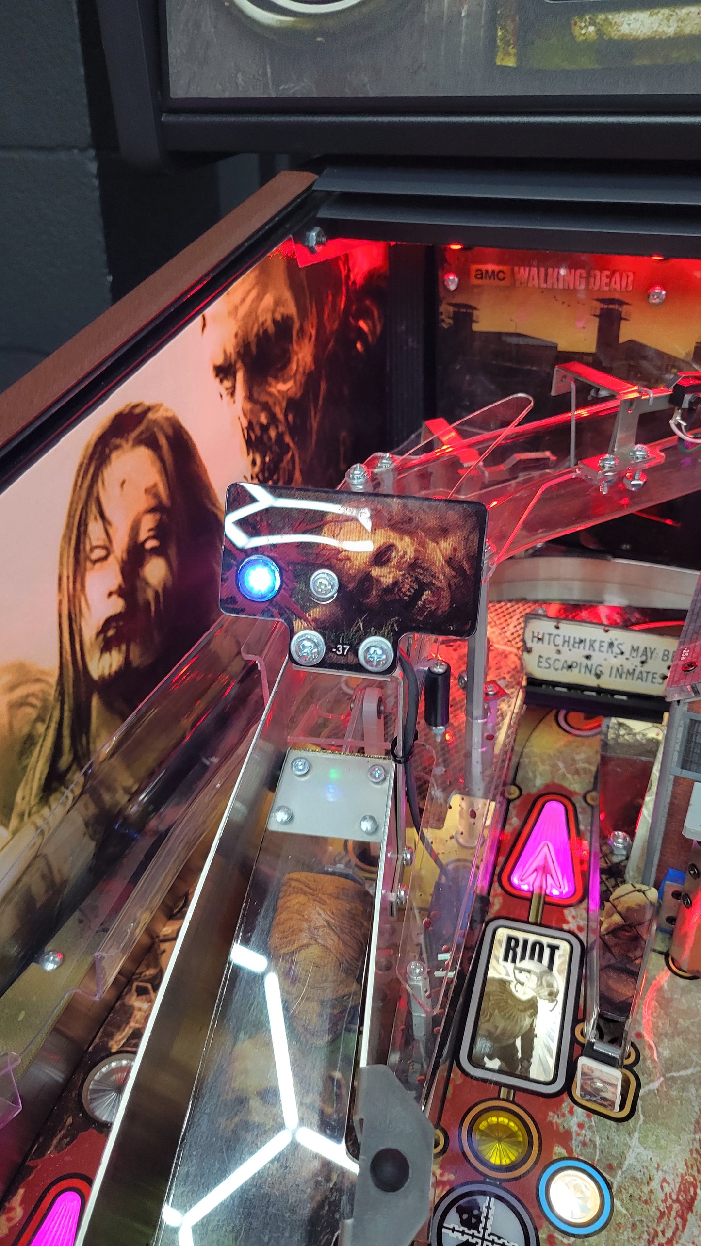 The Walking Dead LE Pinball