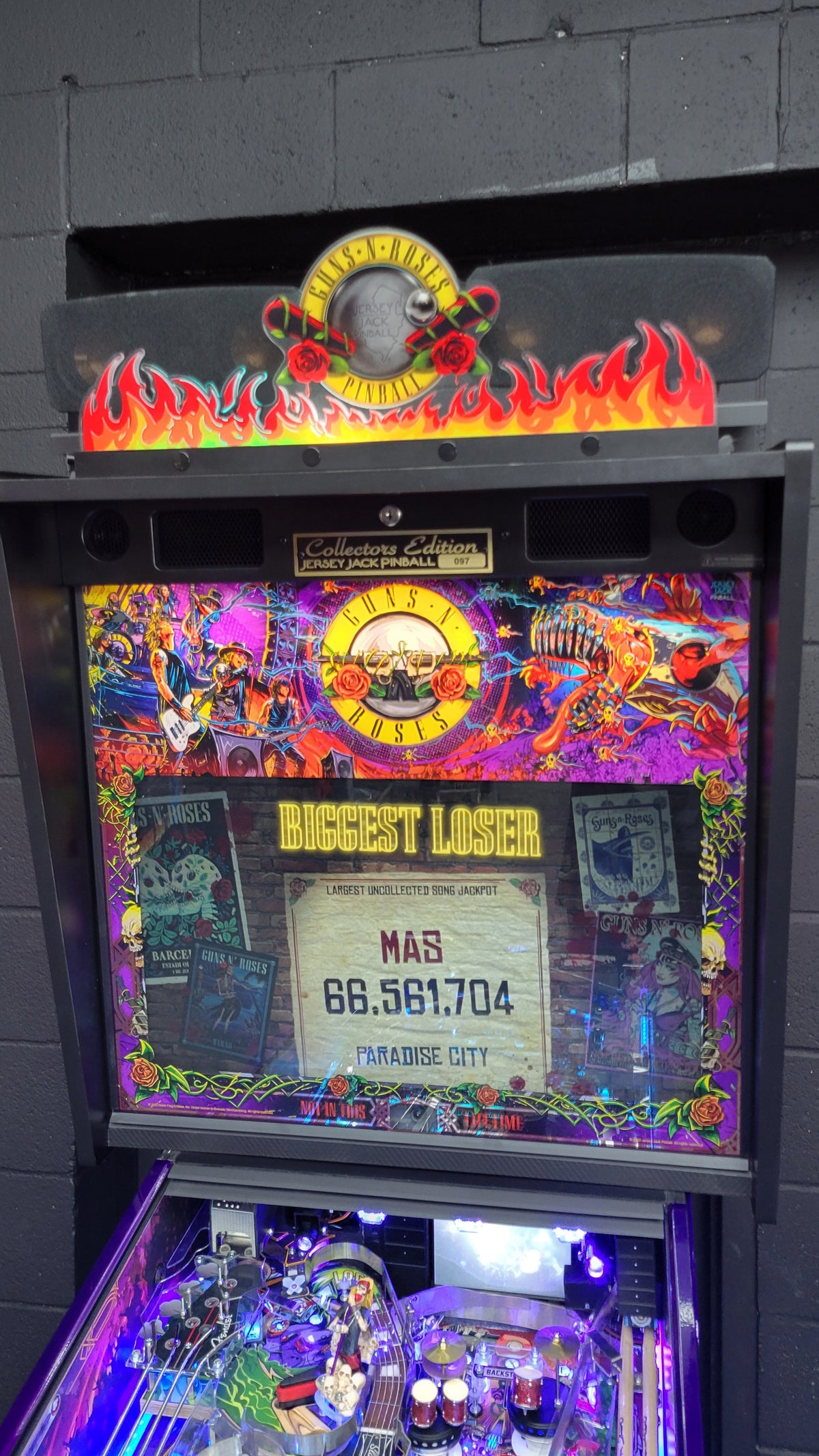 JJP Guns N' Roses CE Collectors Edition Pinball HUO