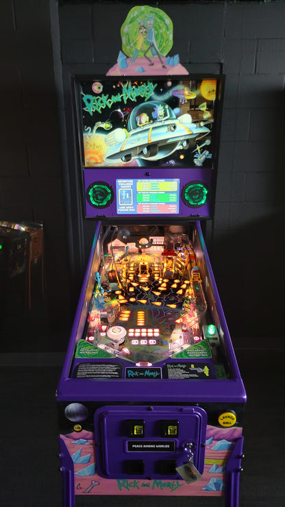 Spooky Rick And Morty Blood Sucker Edition Pinball