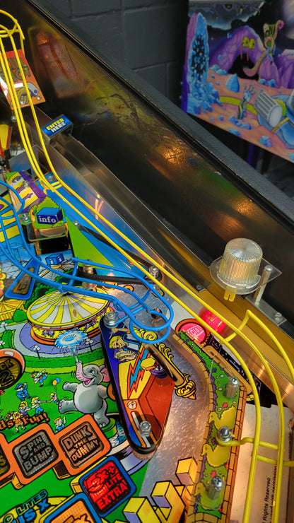 Stern RollerCoaster Tycoon Pinball