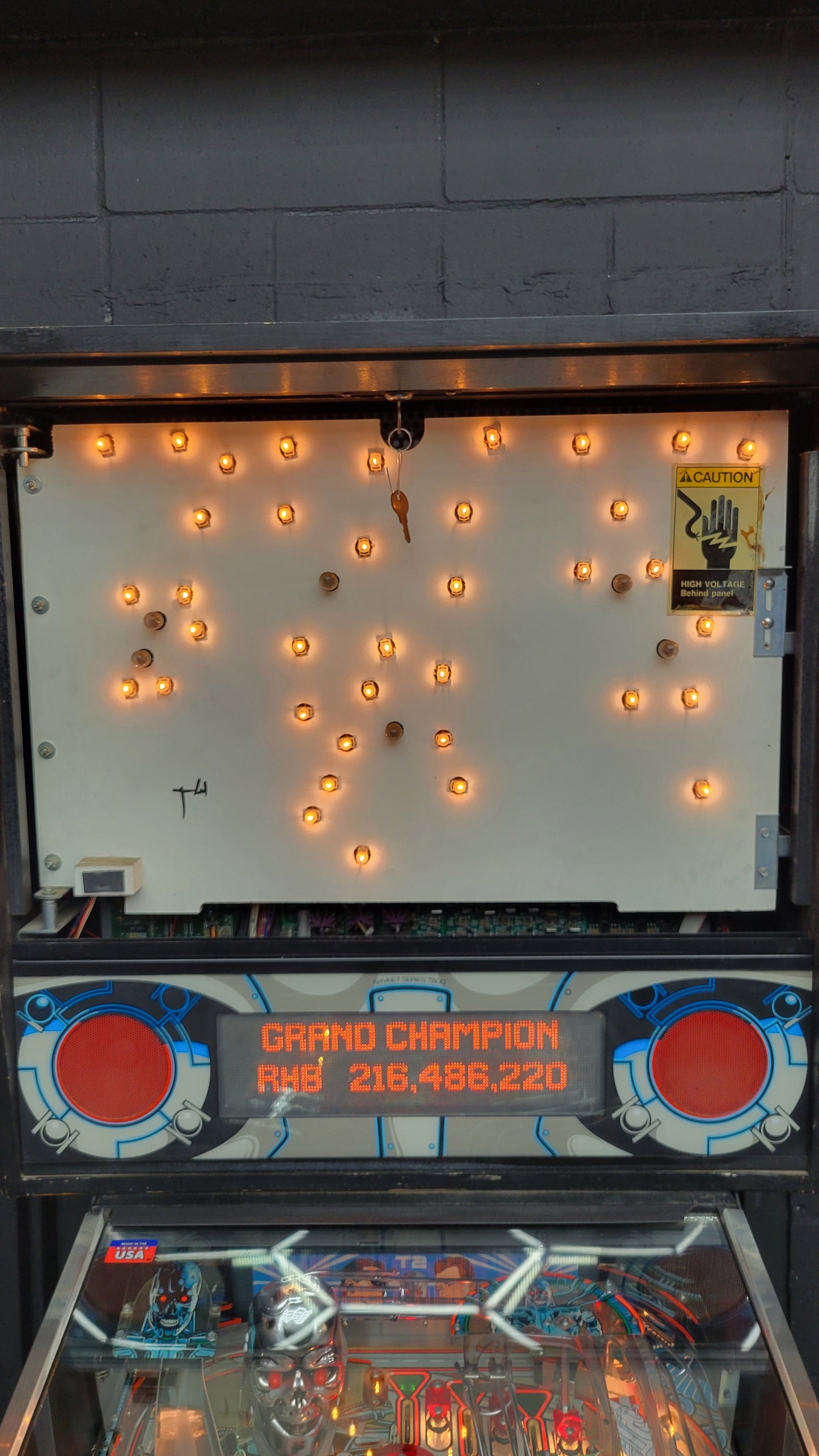 Williams Terminator T2 Pinball