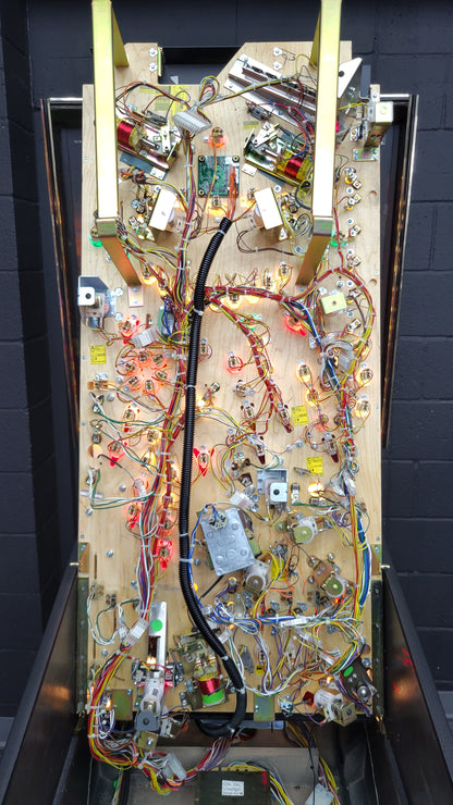 Stern Lord Of The Rings Pinball HUO