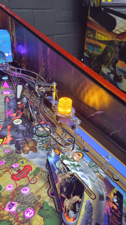 Stern Dungeon & Dragons The Tyrants Eve LE Pinball HUO