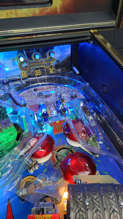 Stern Pirates Of Caribbean Pinball HUO
